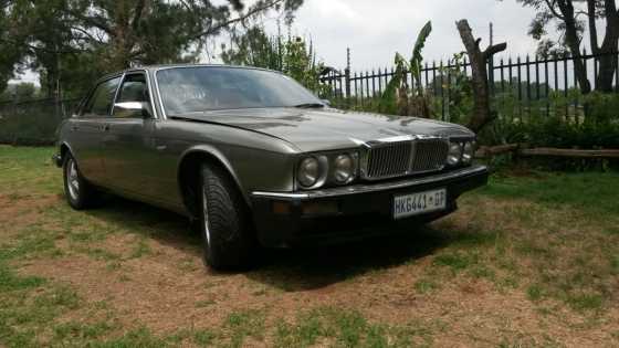 jaguar xj6 for 6