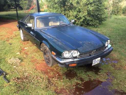 Jaguar XJS V12 for sale