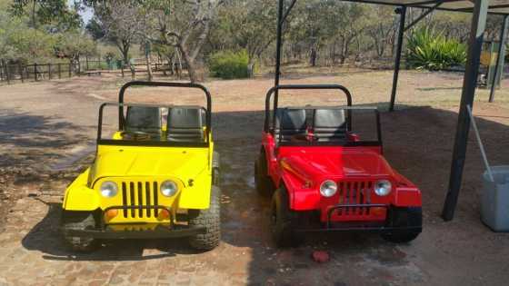 Jeep Go carts for sale