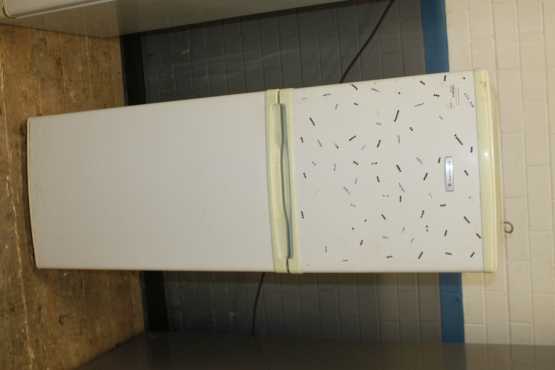 Kelvinator Fridge S021980A Rosettenvillepawnshop