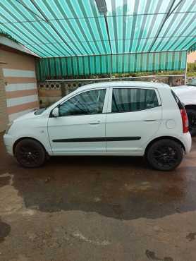 Kia picanto te koop