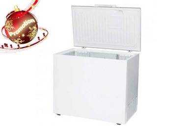 KIC KCG300 300L Chest Freezer