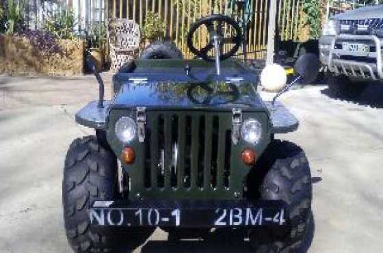 Kiddies mini willys jeep