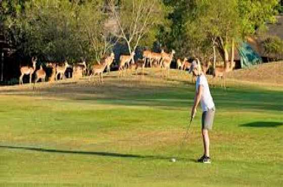 Kruger Park Lodge -18 -25 March (7 nights  including 2 public holidays)