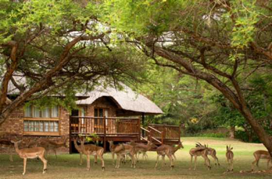 Kruger Park Lodge fractional ownership