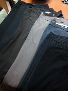 Ladies Formal pants x 8