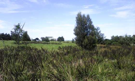 Land For Sale  Bordering The Tsitsikamma Stormsriver Mouth National Park