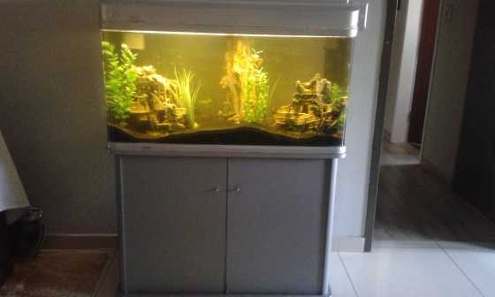 Large FishtankCupboard for sale