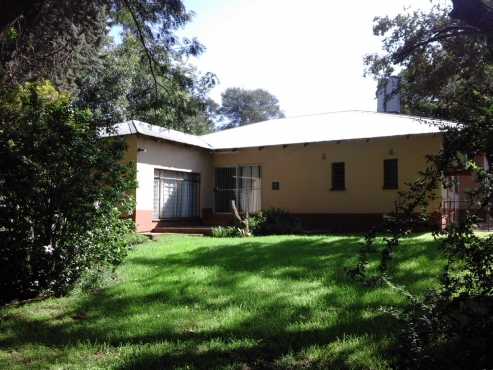 large house randfontein,wilbotsdal