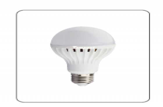 LED LIGHT BULBS