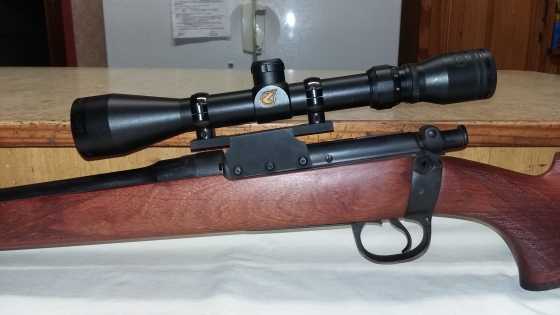 Lee Enfield 303 Sporterized