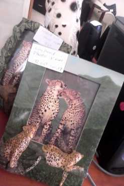 Leopard photo frame