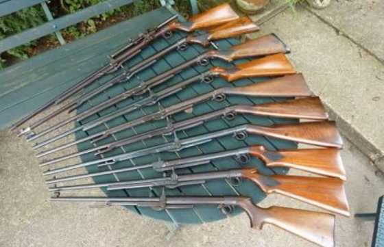 Looking for old Bsa air rifles