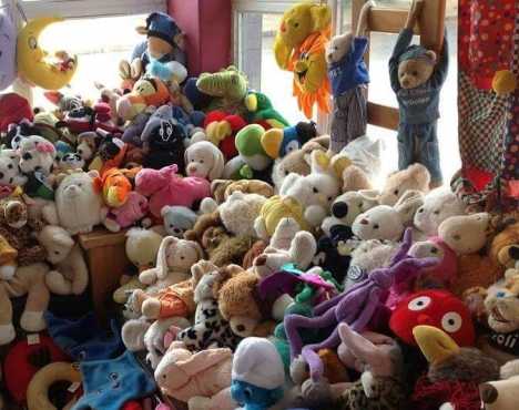 Lot039s of Teddies bulk order039s only