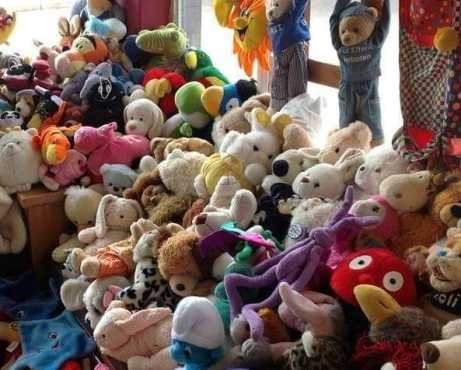 Lot039s of Teddies for sale