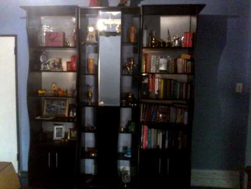 Lounge wall unit