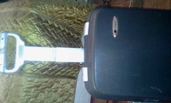 LUXURIOUS DELSEY SUITCASE