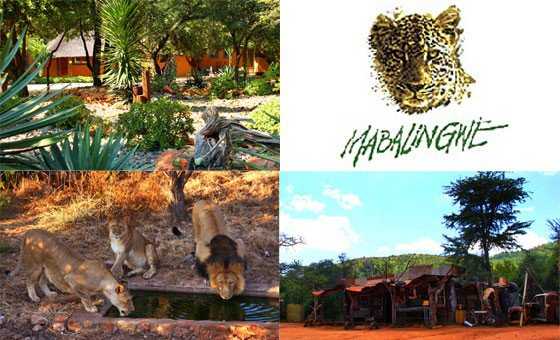 Mabalingwe Holiday Accomodation - December R10000