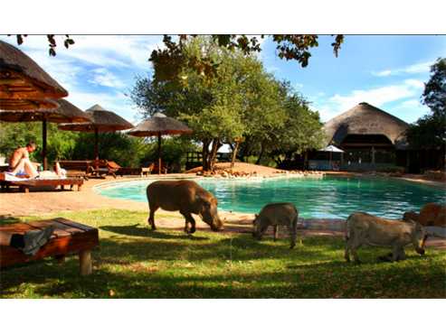 MABALINGWE NATURE RESERVE TIMESHARE WEEK