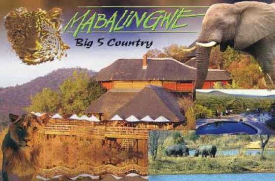 Mabalinque BIG 5 country