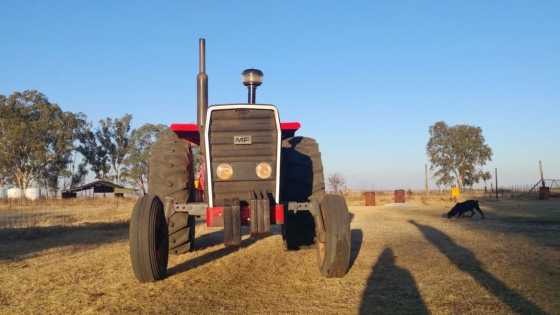 Massey Ferguson 290