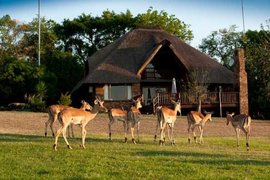 Midweek (Monday 23 Jan 2017 in Friday 27 Jan 2017 out) - Kruger Park Lodge - Hazyview