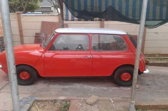 Mini for sale