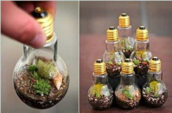 mini gloeilamp en glas terrariums