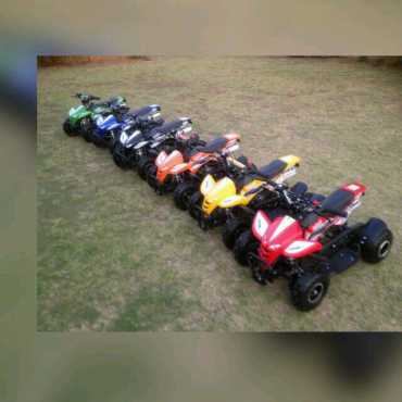 Mini quad bikes