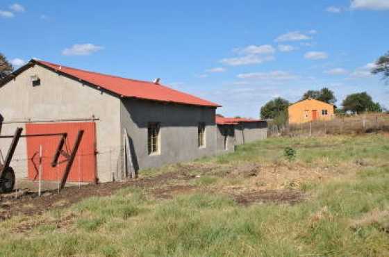 Neat Farm House on Small holding in Koppies