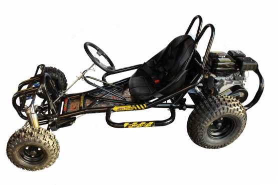 New 200cc 4 stroke wet clutch go-karts with front and rear shocks- NEW