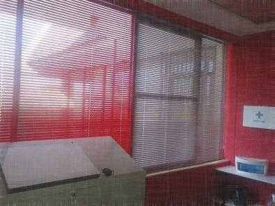 New Blinds