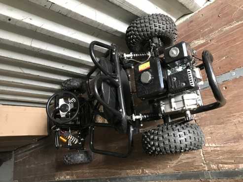 New display Demo Gokart for sale