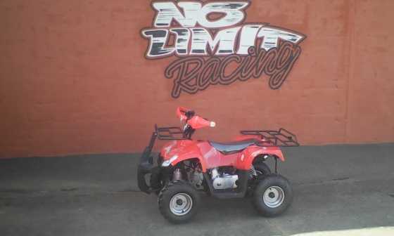 No Limit 110cc Quad