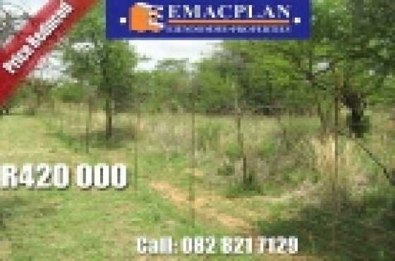 ONE HECTARE SMALLHOLDING