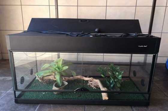 One Reptile Enclosure