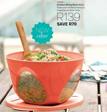 Outdoor Dining Bowl (Tupperware)