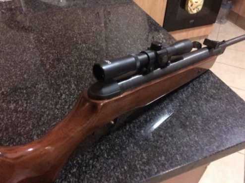 Pallet Gun with Rifle Scope