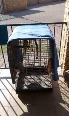 Parrot cage incl toys