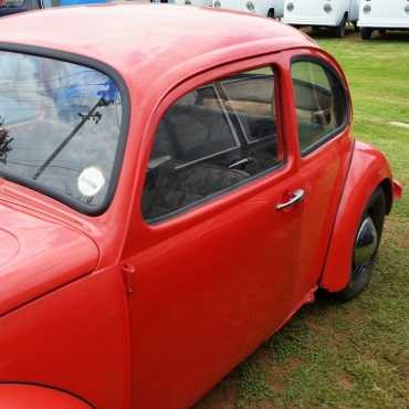 Partly Restored Beetle