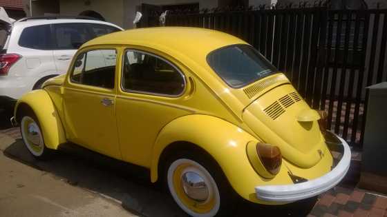 Perfect 1600 Vw Beetle
