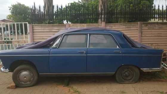 Peugeot 404 to swop or sell