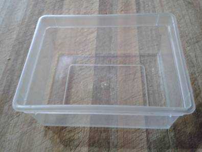 Plastic container without lid