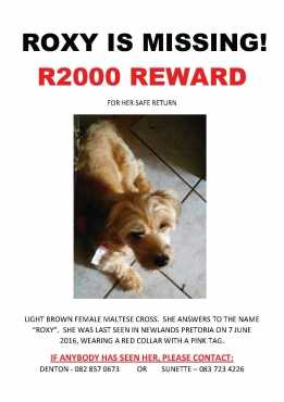 Please help us find Roxy