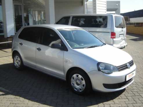 polo vivo