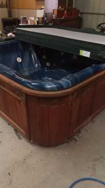 Portable Spa Pool Jacuzzi Hot Tub (Monarch brand)