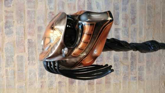 Predator helmet