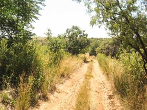 Price reduced 21 ha bushveld paradise close to all amenities R880 000