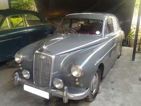 PRICED TO GO - 1956 Wolseley 1550