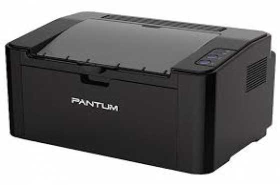 Printer Pantum gray